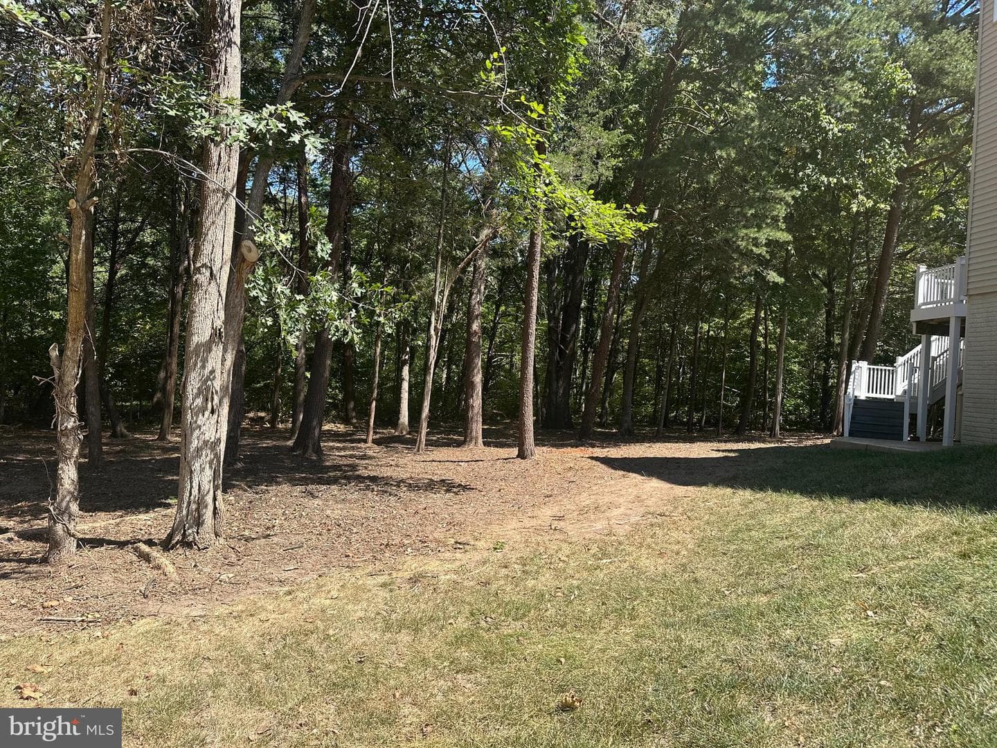 42346 Ponderosa Drive photo 83
