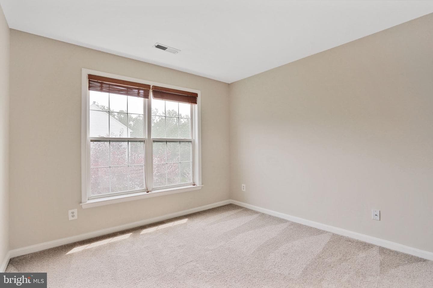 47167 Chambliss Court photo 26