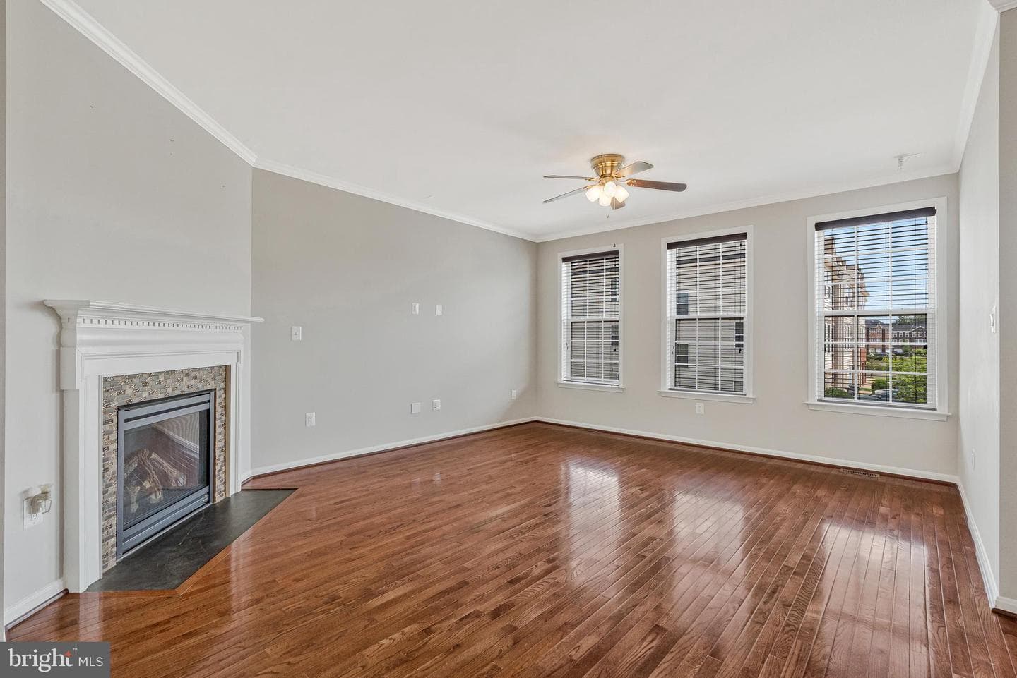 24847 Mason Dale Terrace photo 13