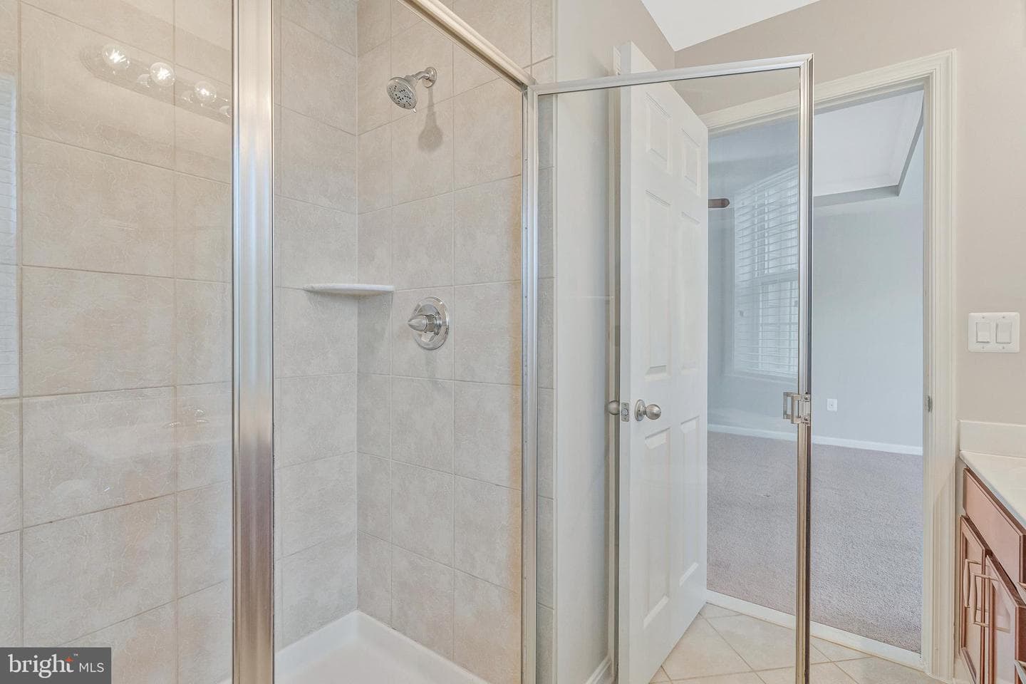 24847 Mason Dale Terrace photo 21