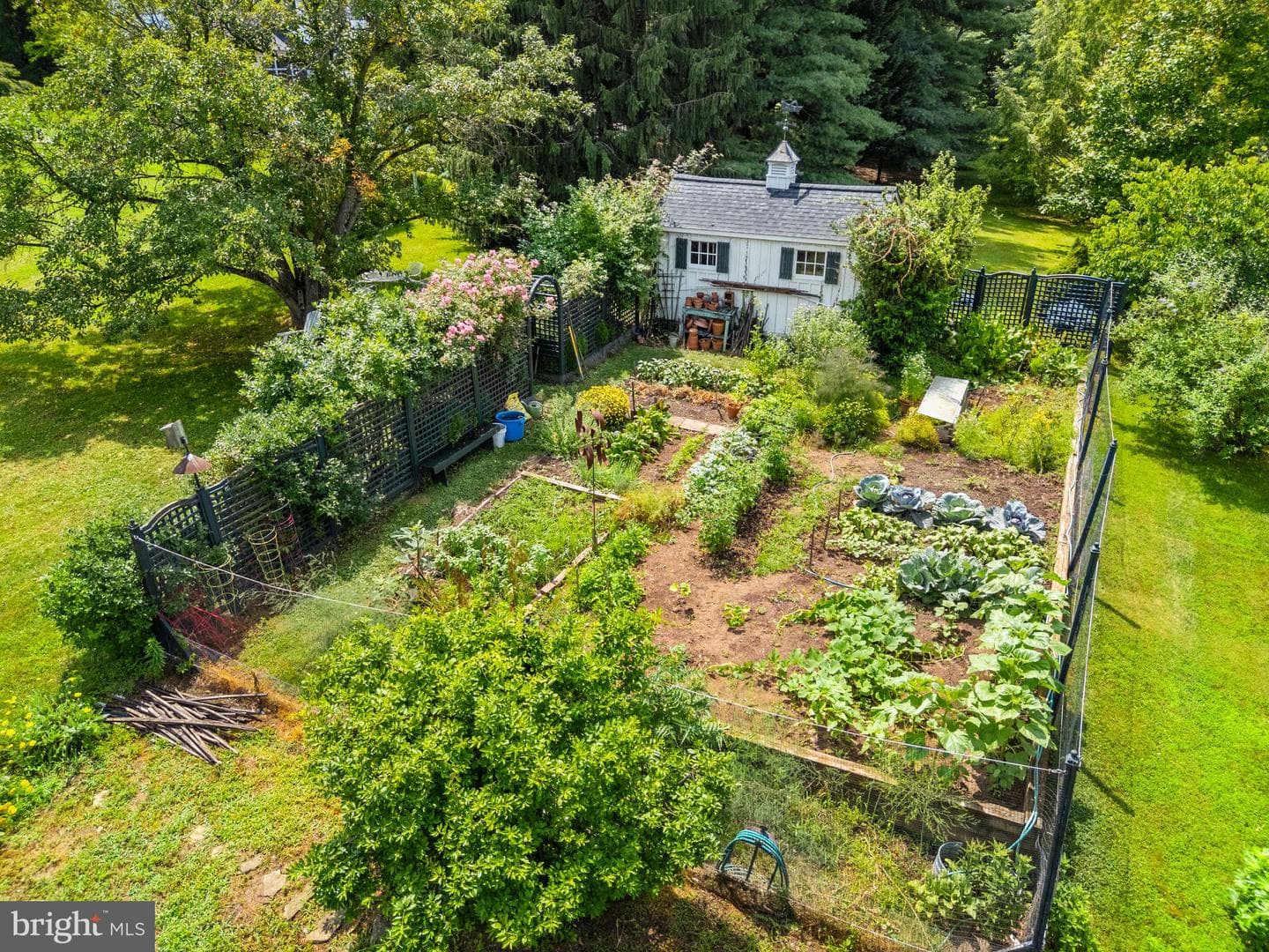 23358 Dover Road photo 40