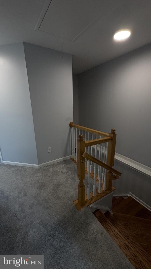 20353 Briarcliff Terrace photo 17
