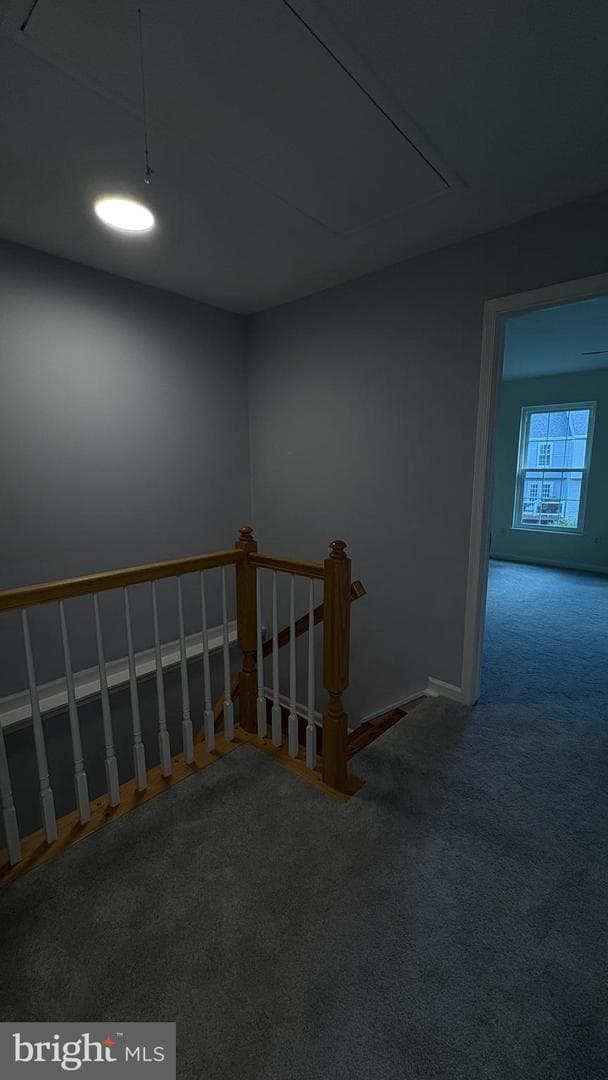20353 Briarcliff Terrace photo 18