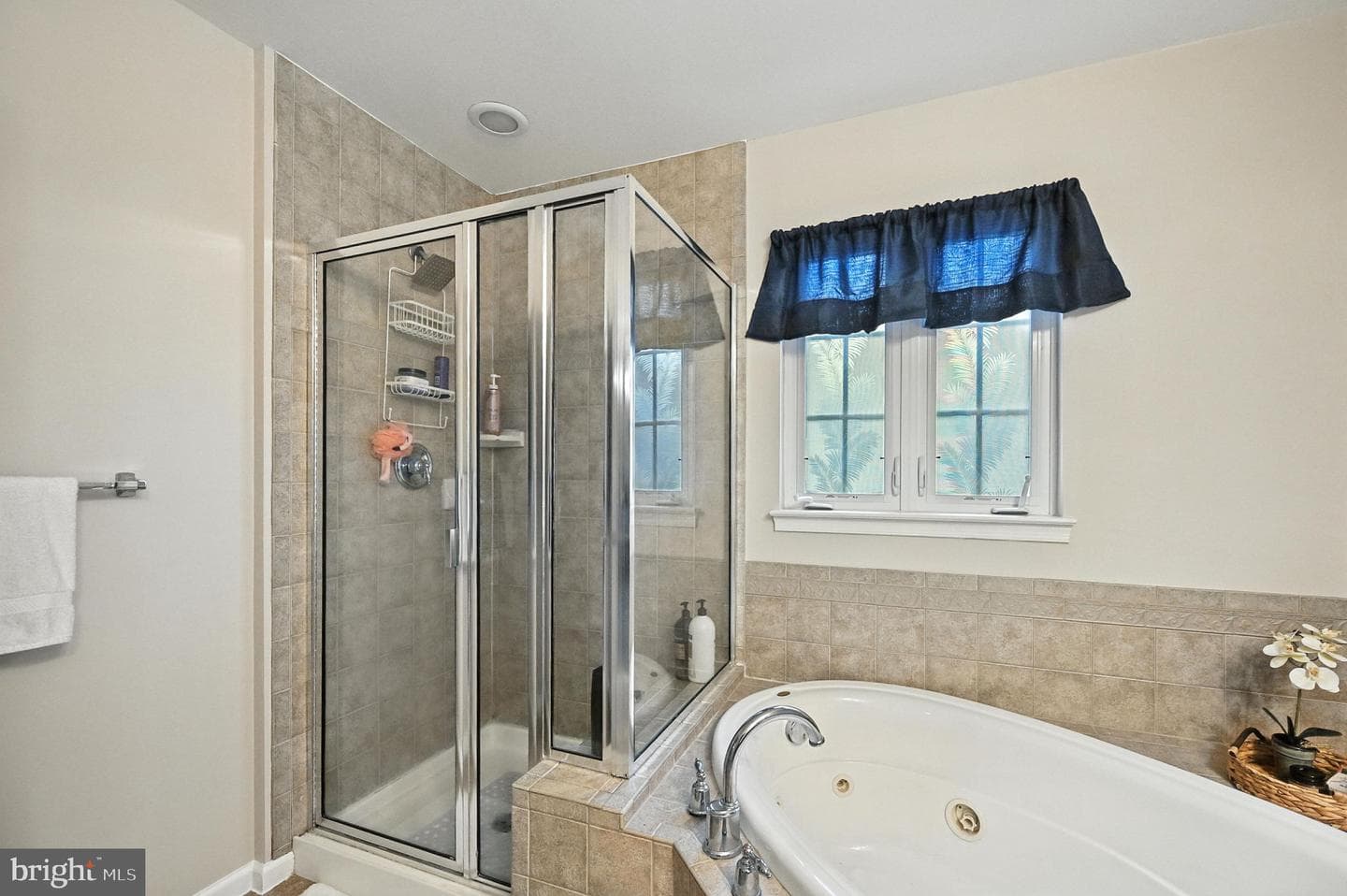 25399 Peaceful Terrace photo 17