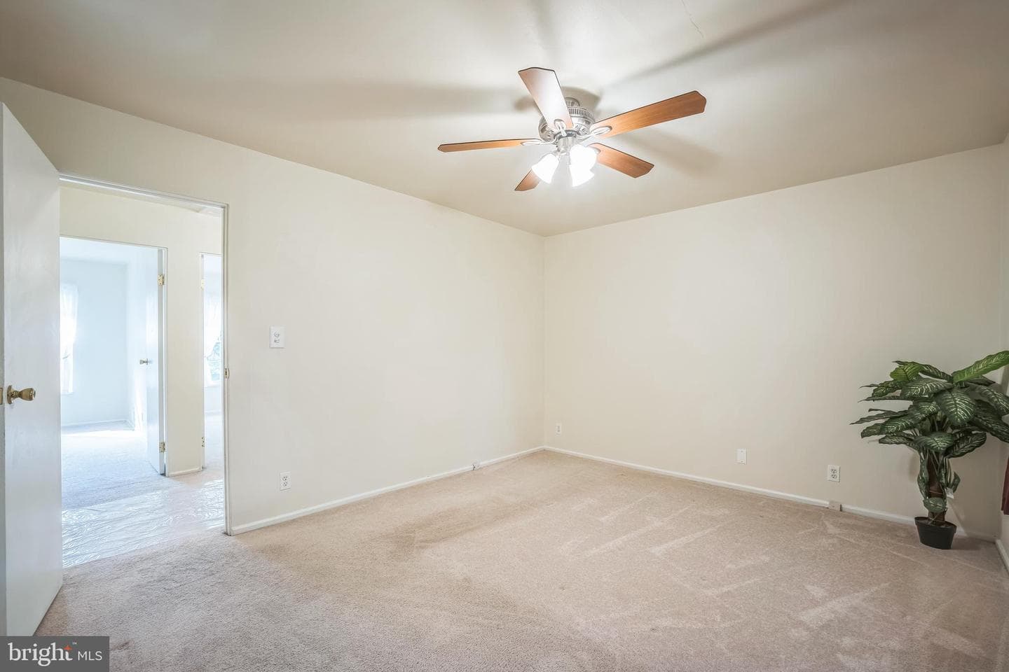 126 N Baylor Drive photo 19