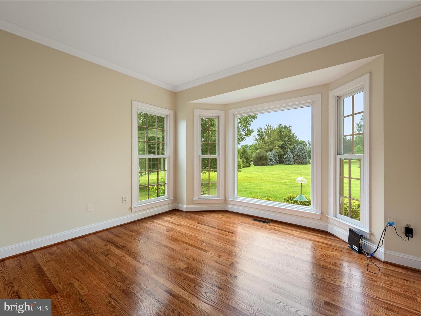 36565 Innisbrook Circle photo 21