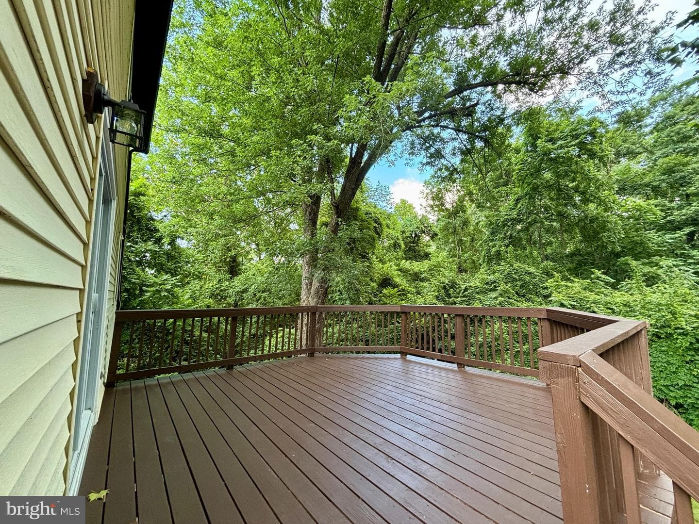 208 Keyes Court photo 65