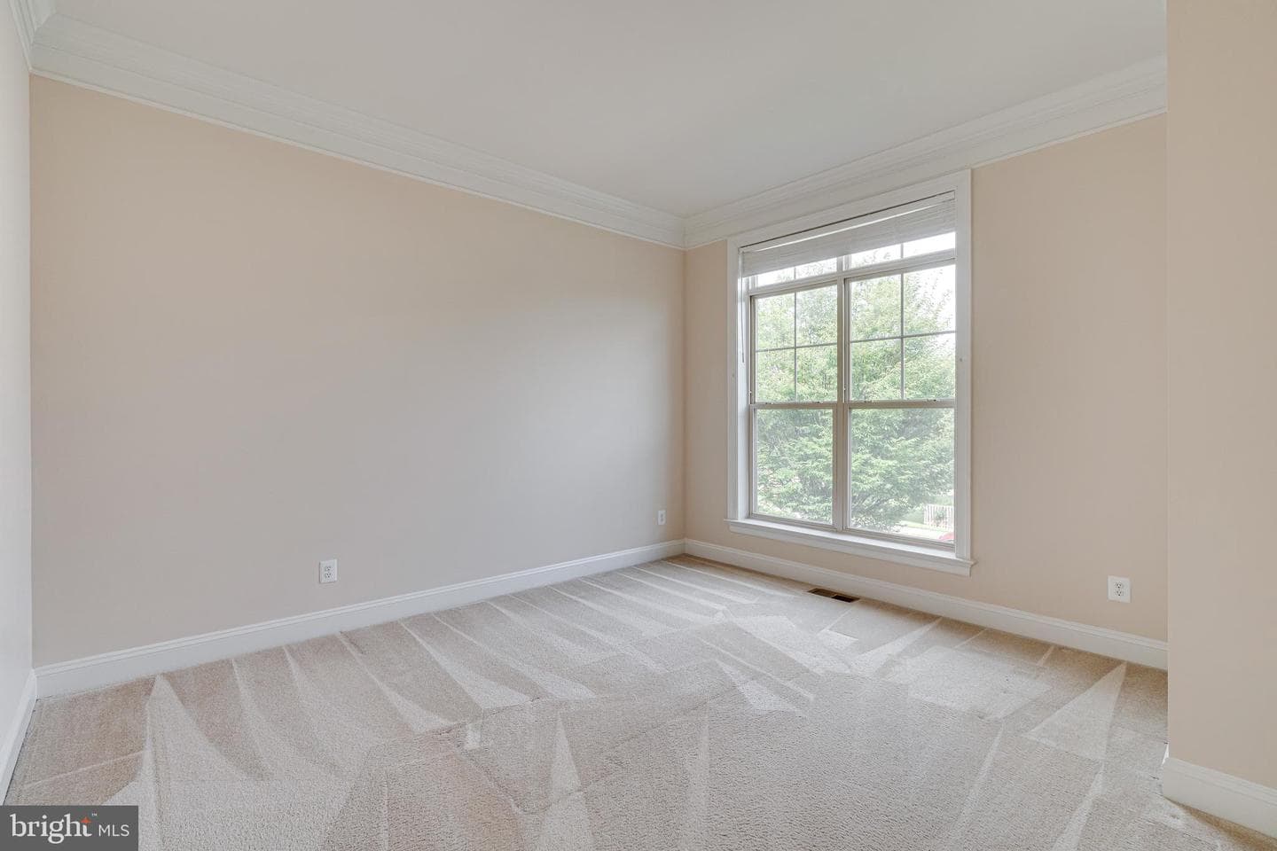 42739 Macauley Place photo 55