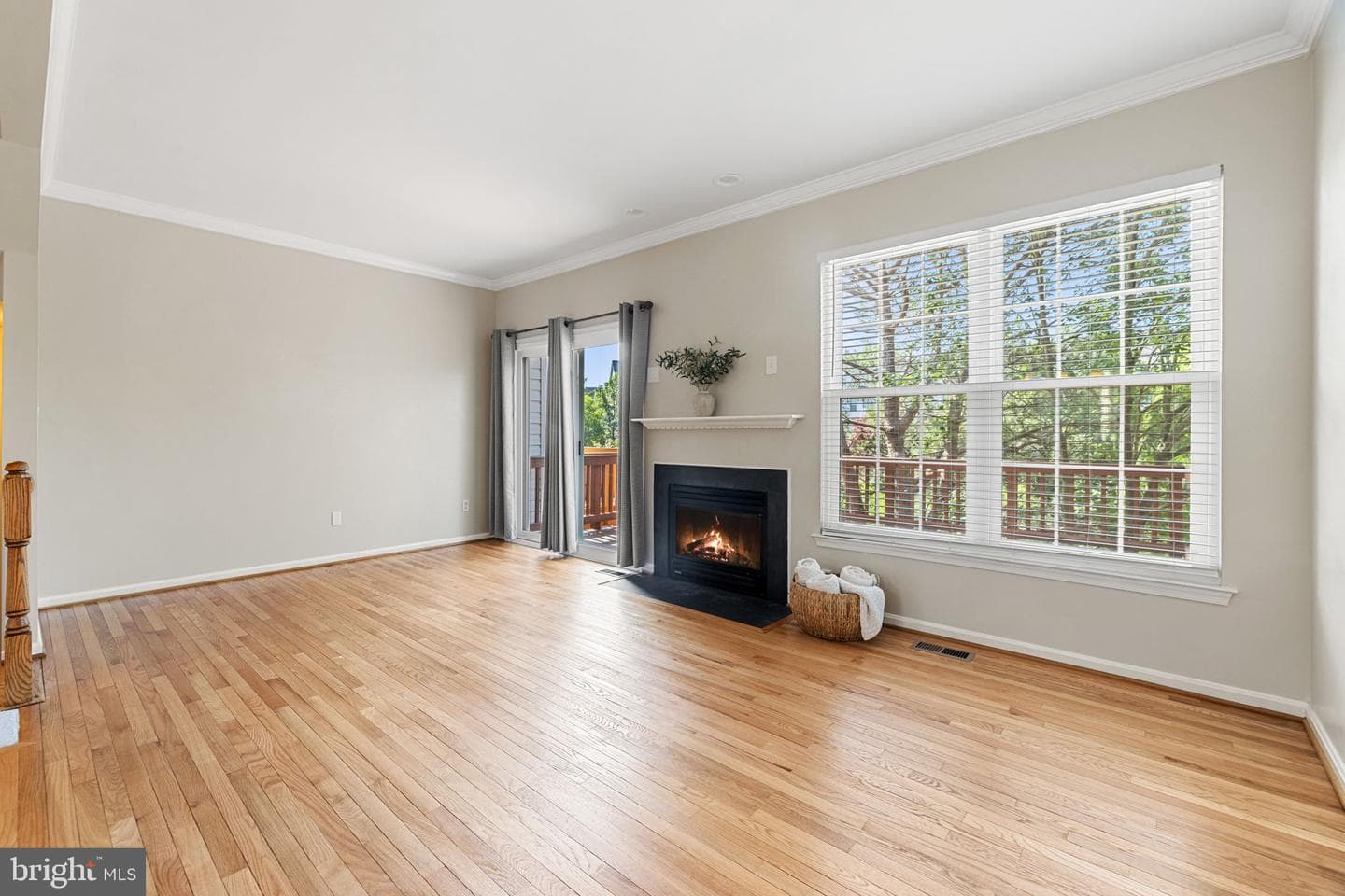 45537 Lake Haven Terrace photo 19