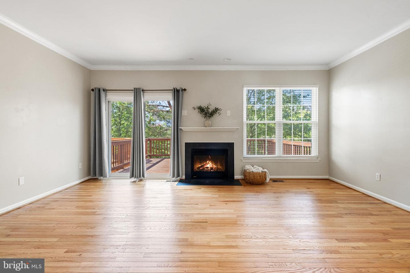 45537 Lake Haven Terrace photo 20
