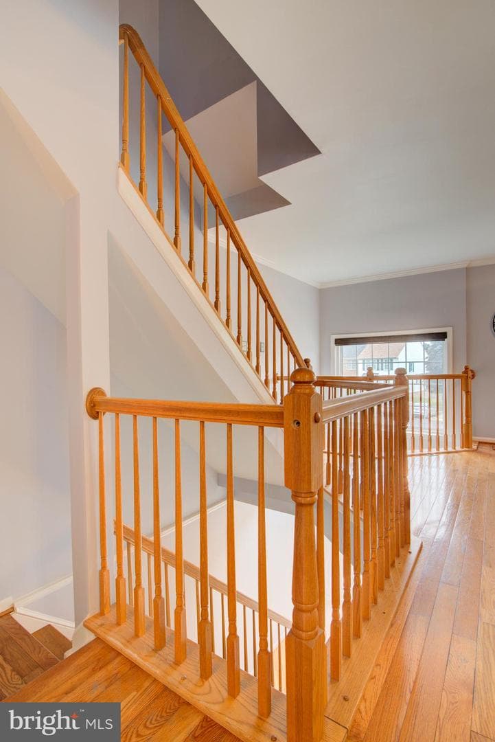 21116 Winding Brook Square photo 17