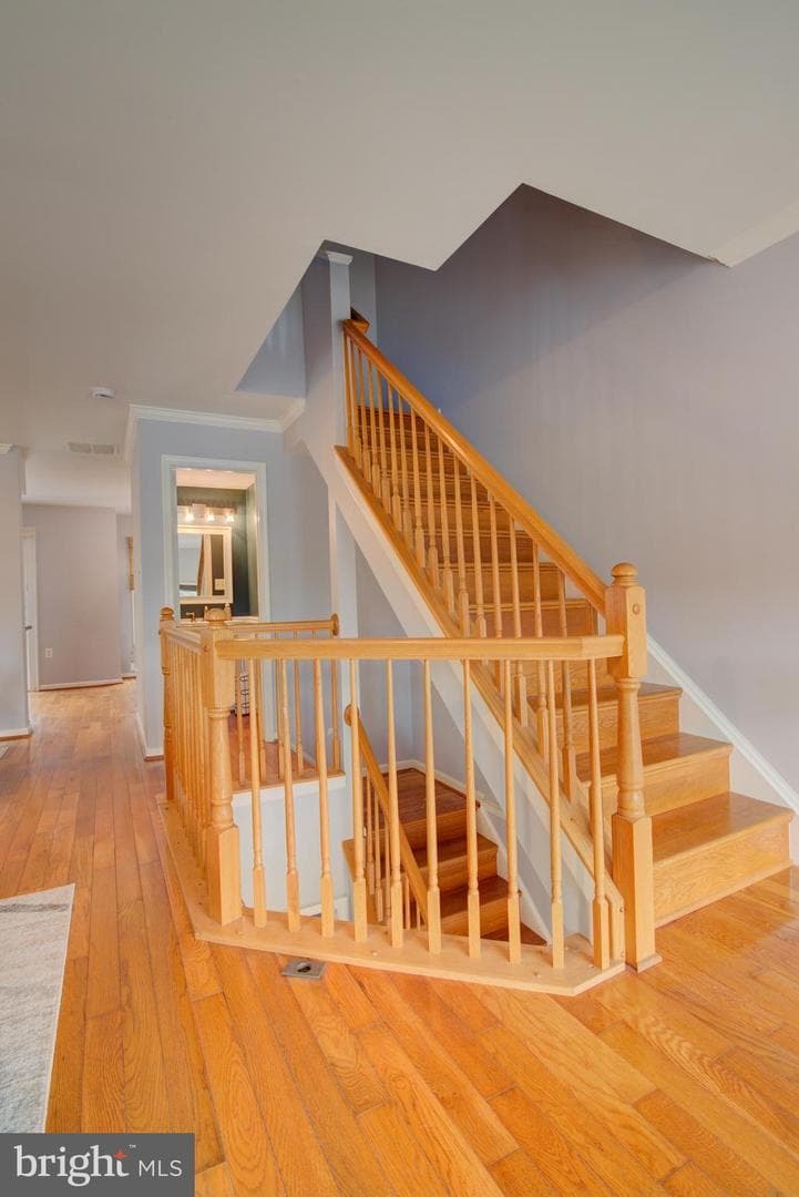 21116 Winding Brook Square photo 18