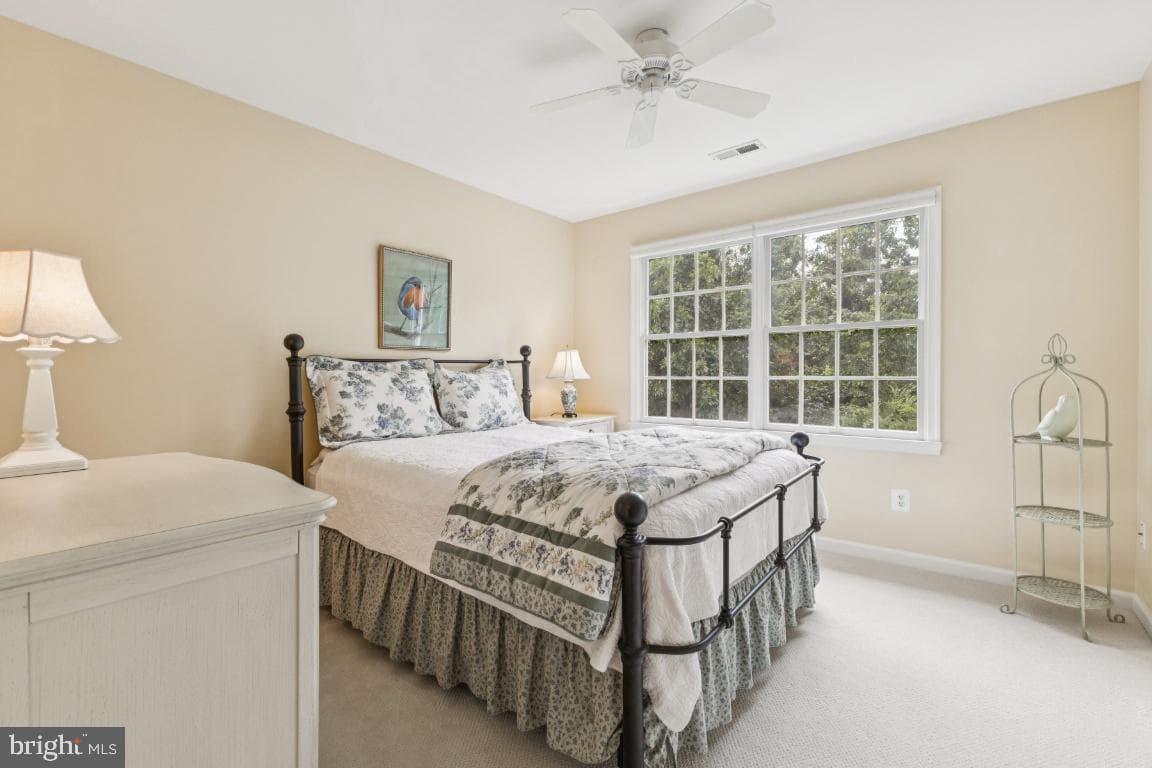 43534 Hyland Hills Street photo 24