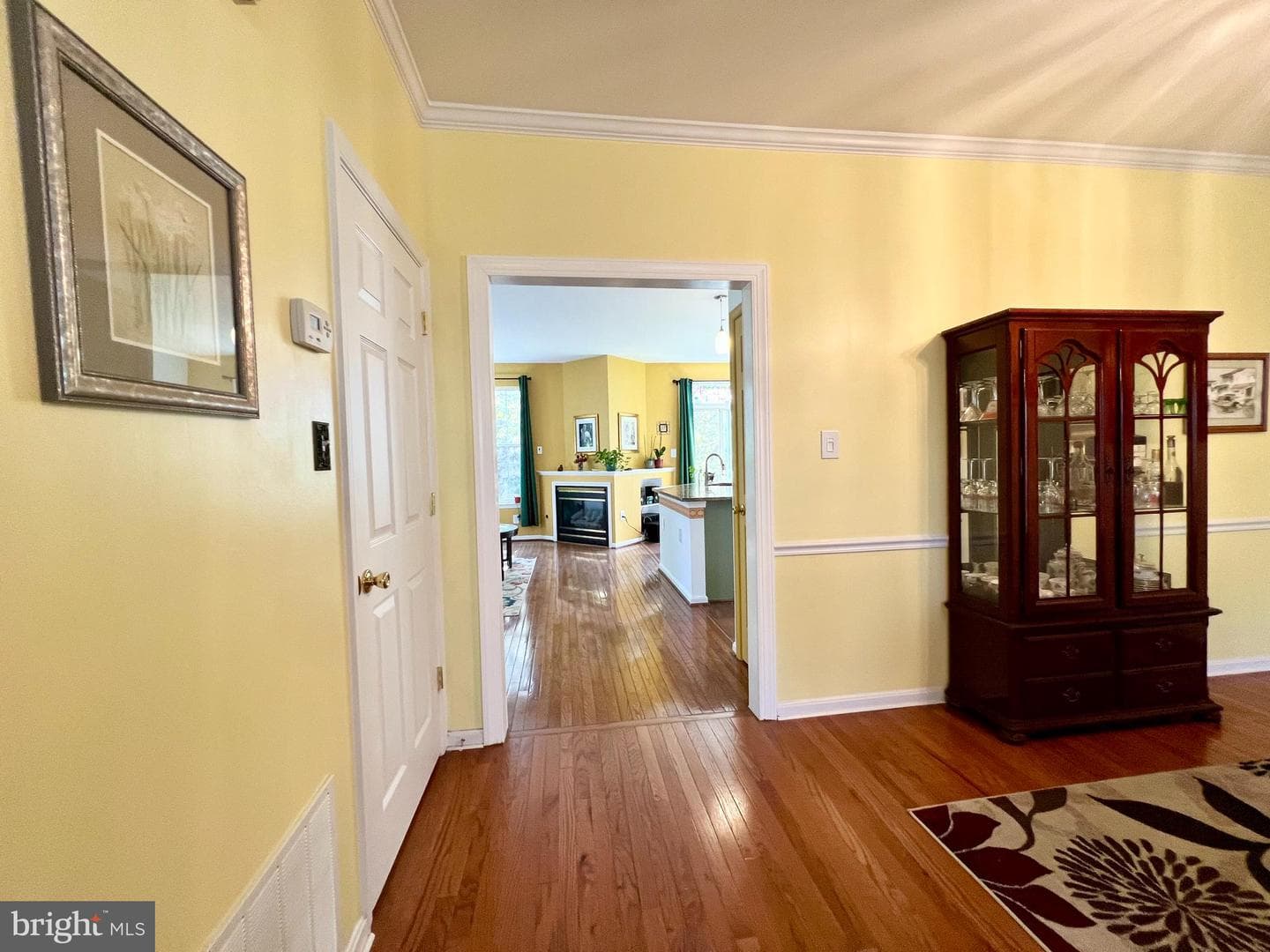47379 Darkhollow Falls Terrace photo 11
