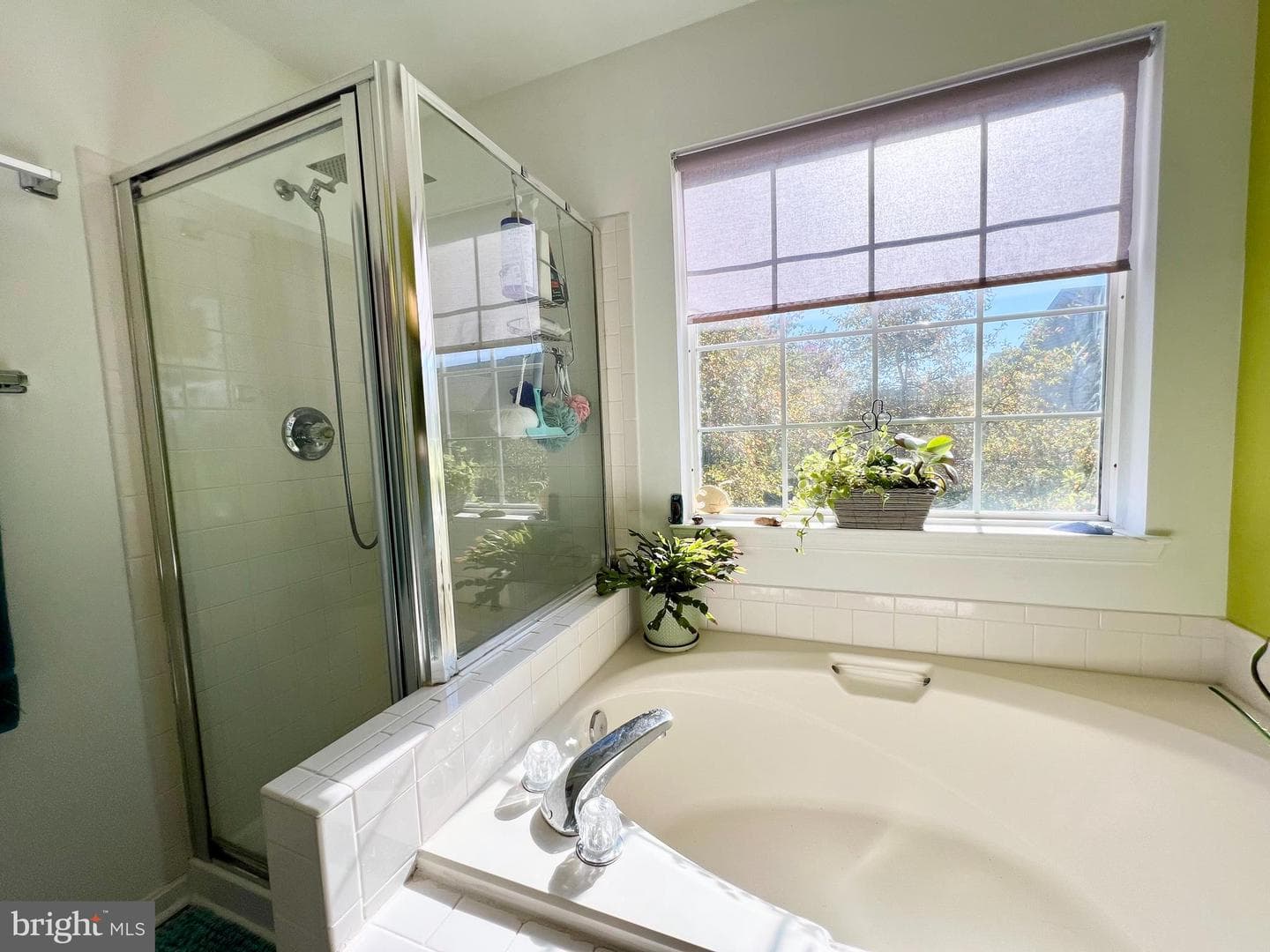 47379 Darkhollow Falls Terrace photo 42