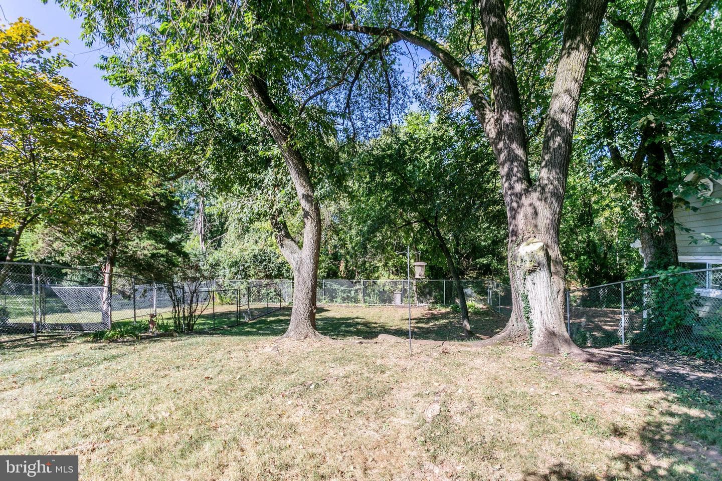 905 W Poplar Road photo 4