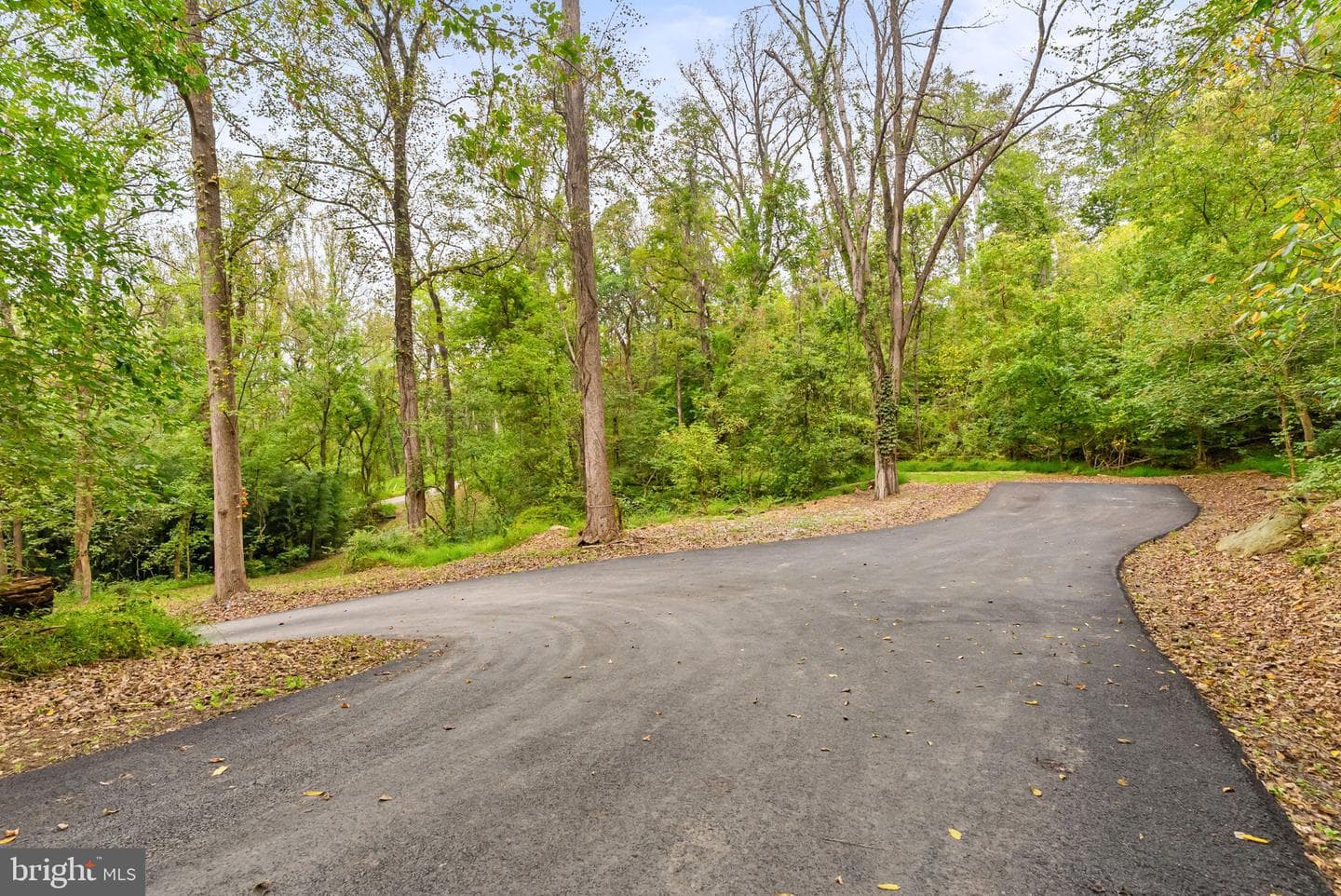 12894 Furnace Mountain Road photo 100
