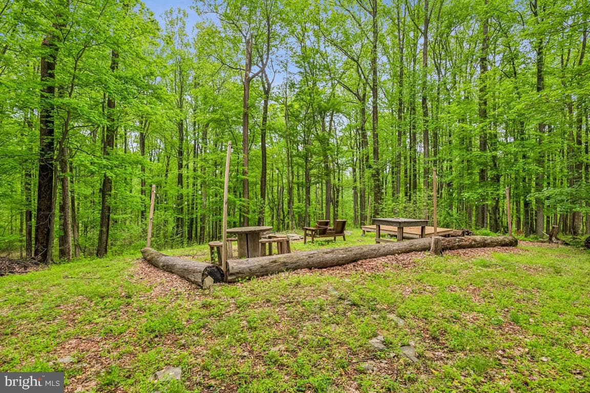 14607 Summit View Lane photo 36