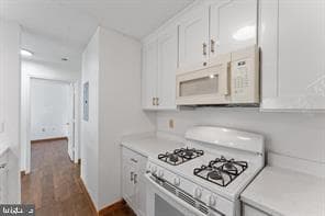 20979 Timber Ridge Ter #101 photo 4