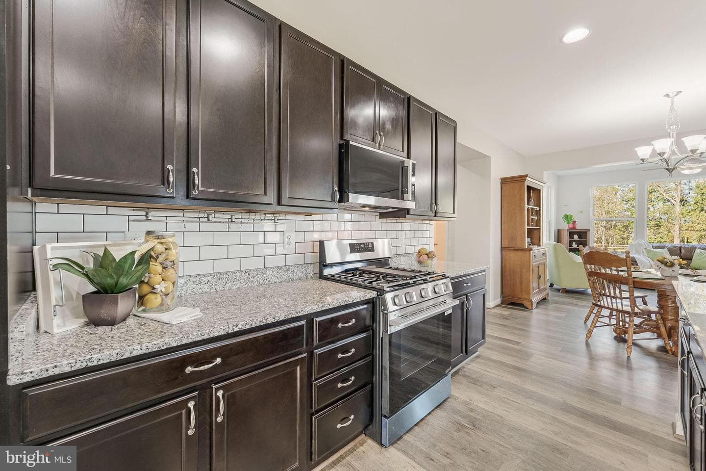 12080 Sunflower Field Place photo 25