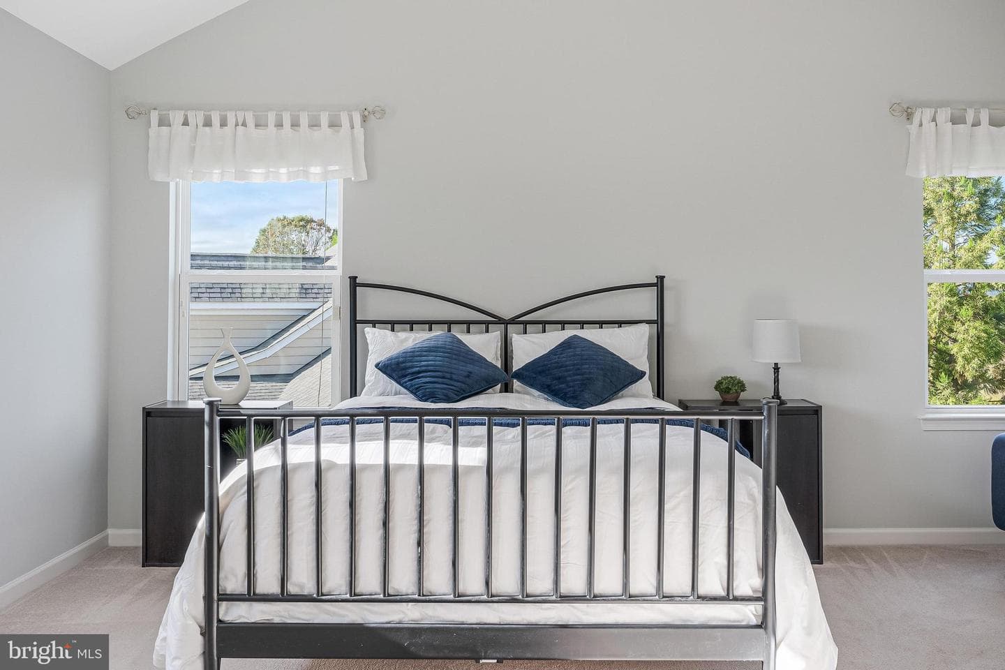 12080 Sunflower Field Place photo 51