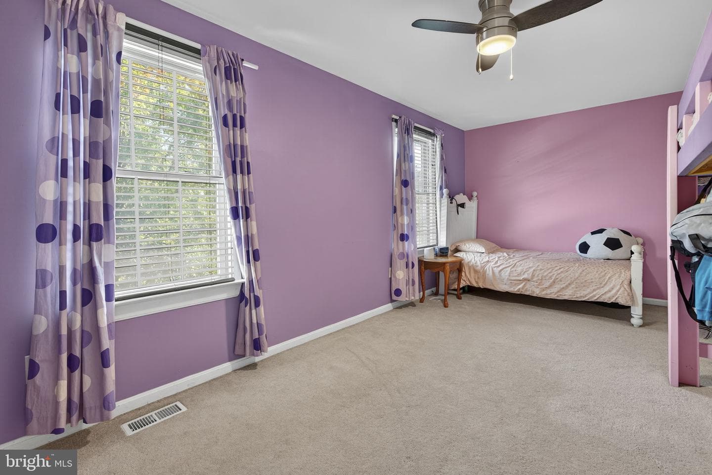27 Mills Court photo 45