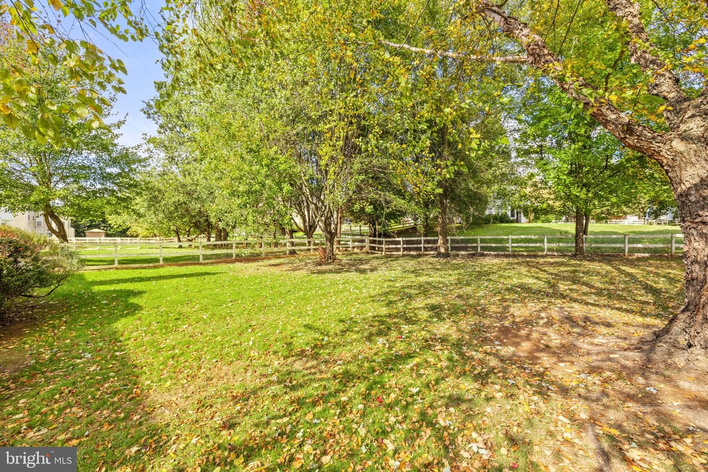 35804 Park Heights Circle photo 26