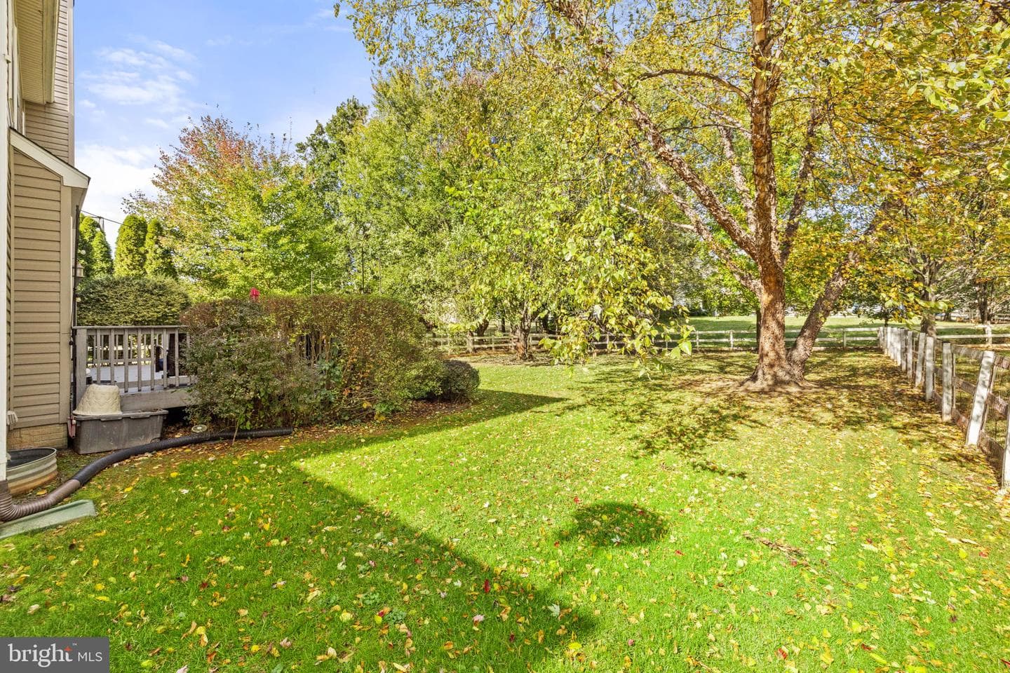 35804 Park Heights Circle photo 84