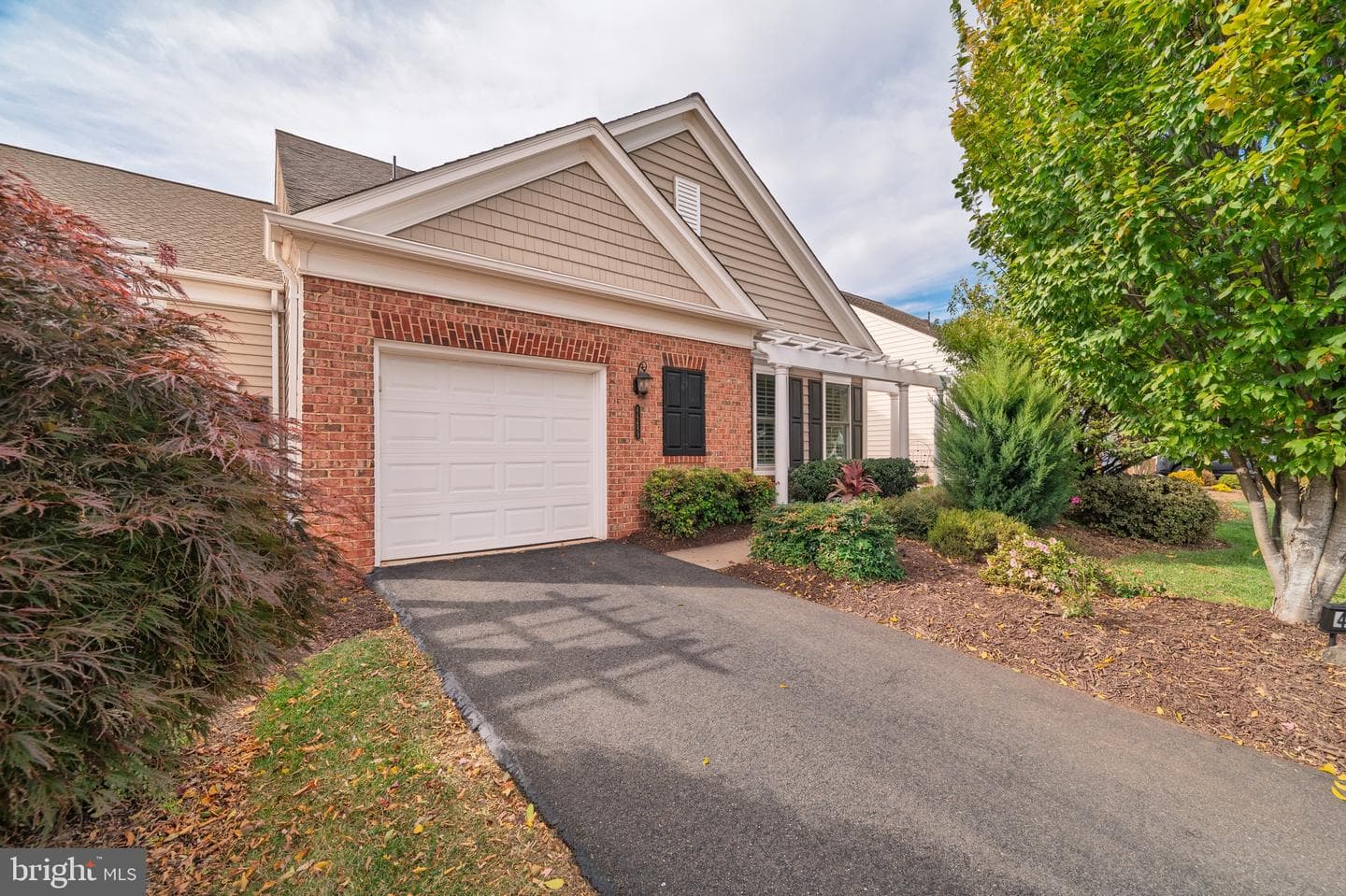 44489 Maltese Falcon Square photo 2