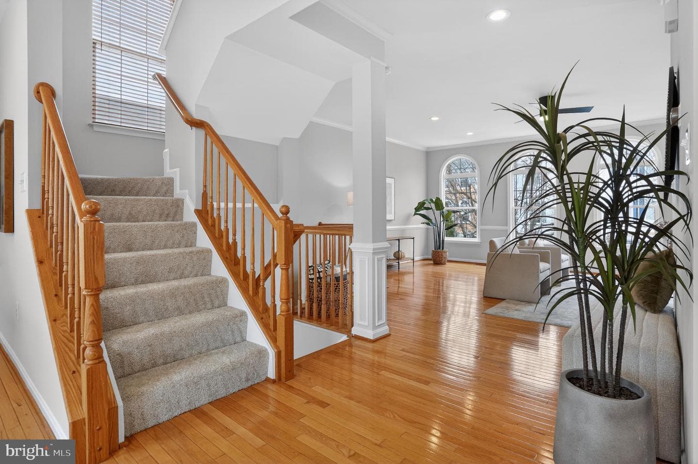 21758 Flora Springs Terrace photo 12
