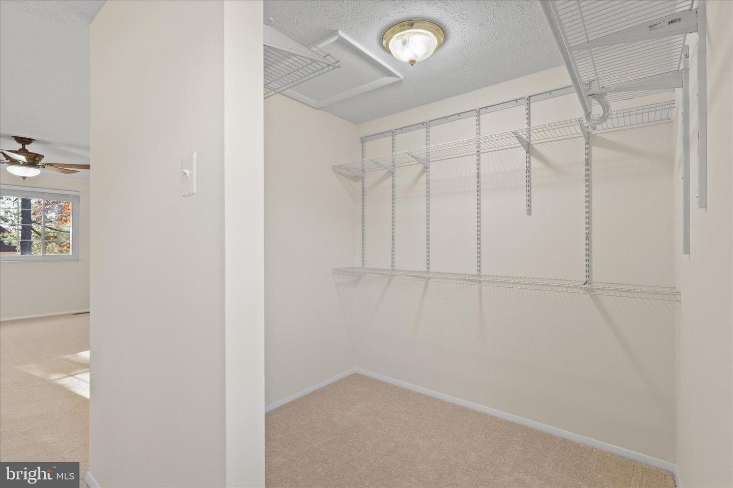 105 Deerwood Court photo 22