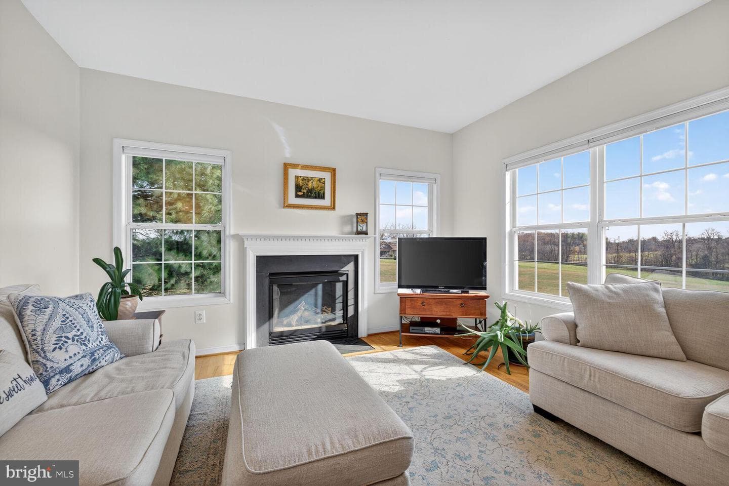 12380 Mountain Road photo 14