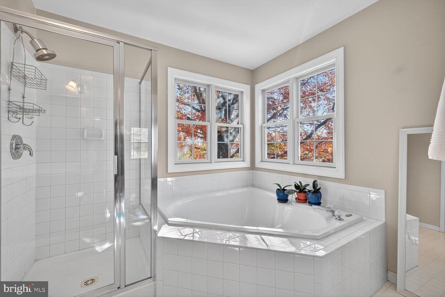 12380 Mountain Road photo 21
