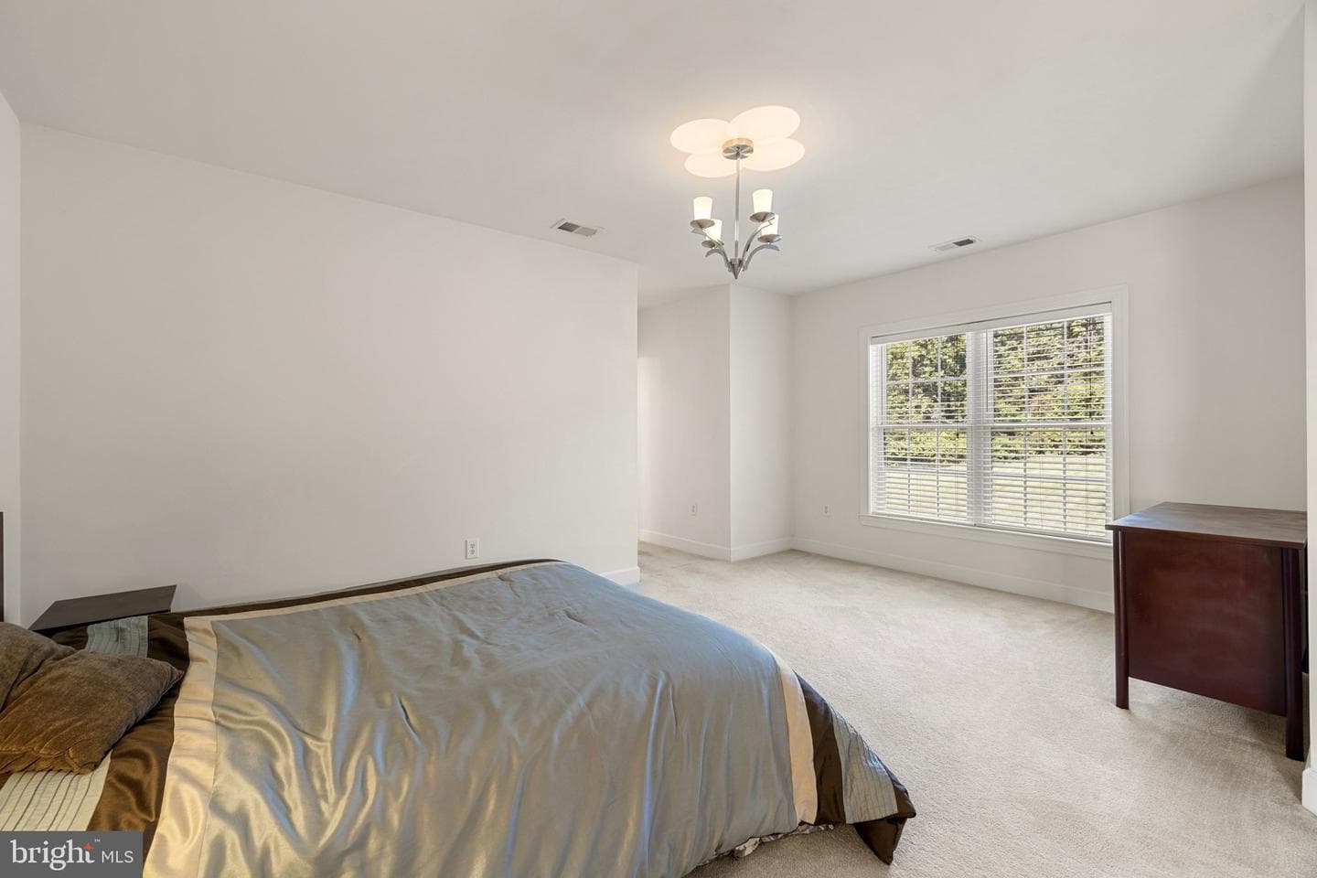 40752 Canongate Drive photo 61