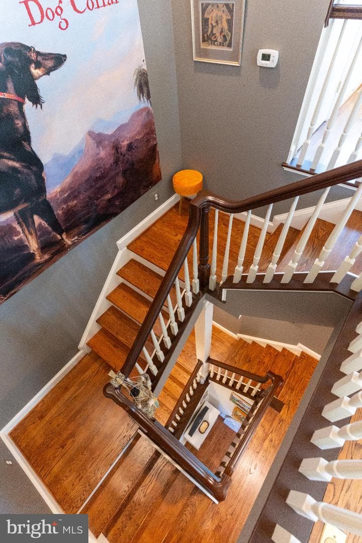 9 Hunt Court photo 23