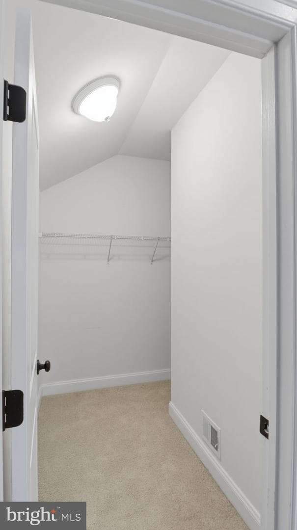 25956 Cullen Run Place photo 60