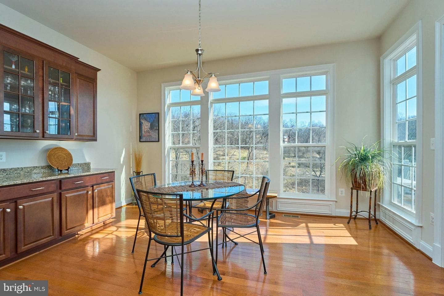 41019 Taylor Ridge Lane photo 16