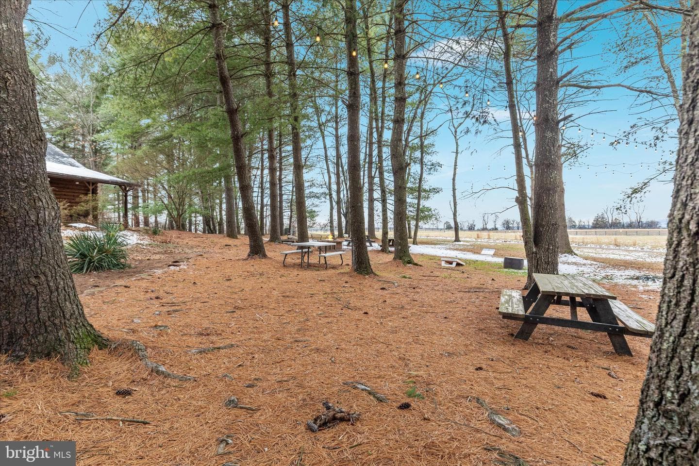 43301 Spinks Ferry Road photo 31