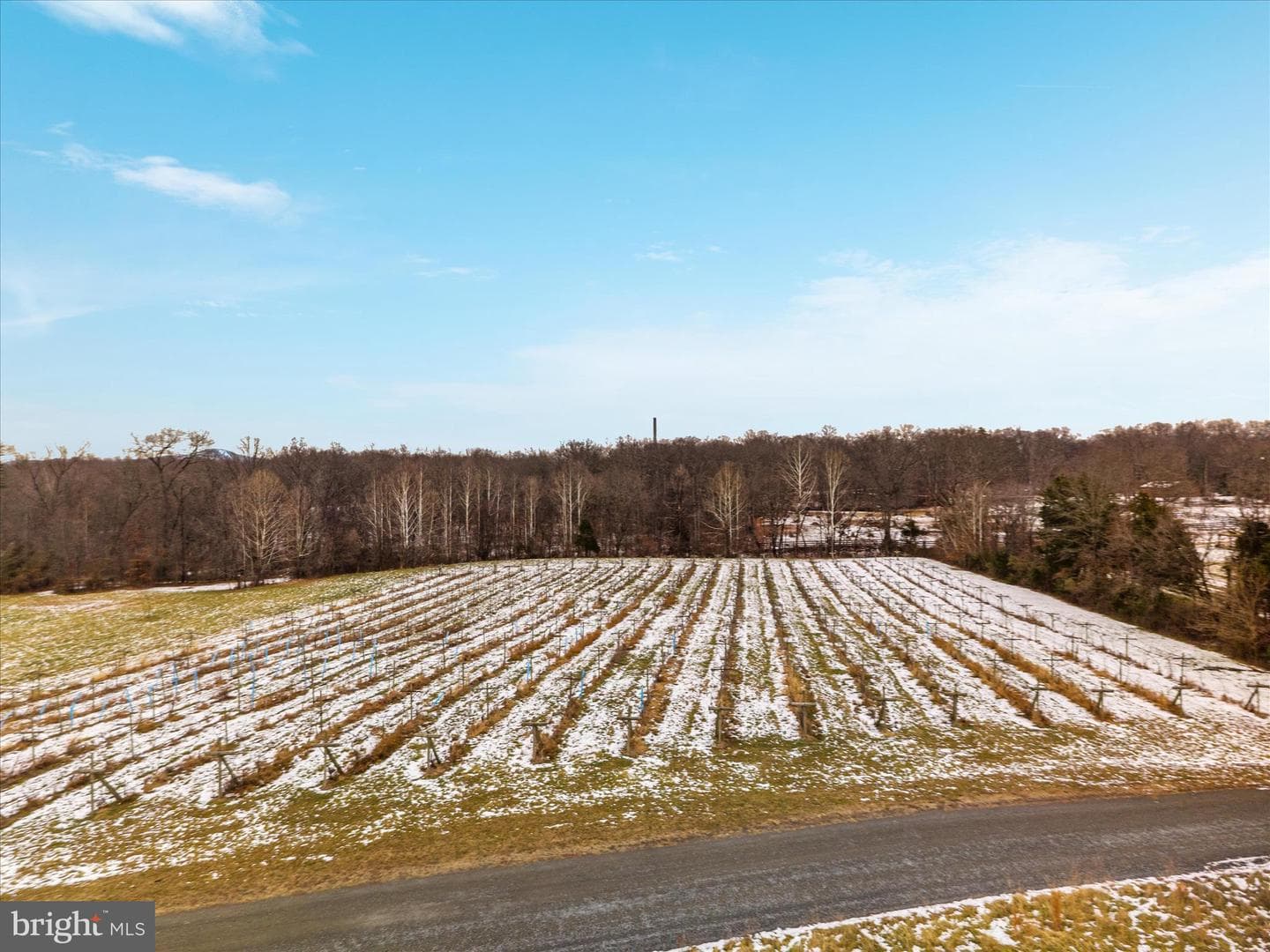 43301 Spinks Ferry Road photo 90