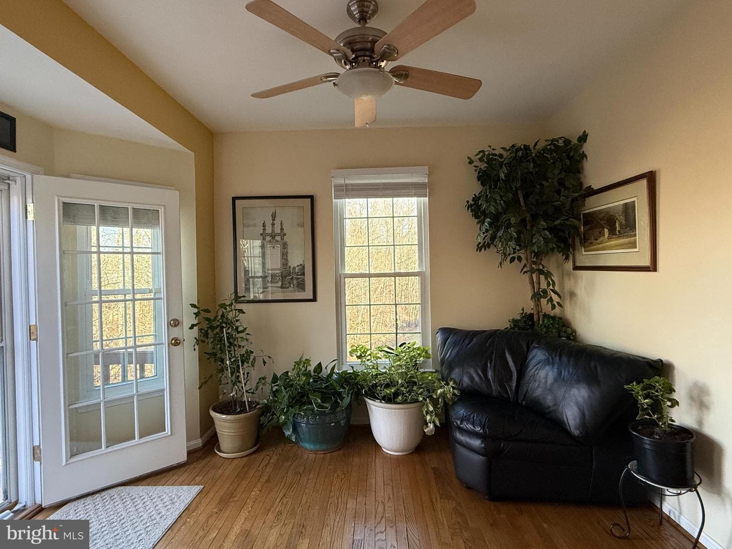 47501 Sharpskin Island Square photo 21