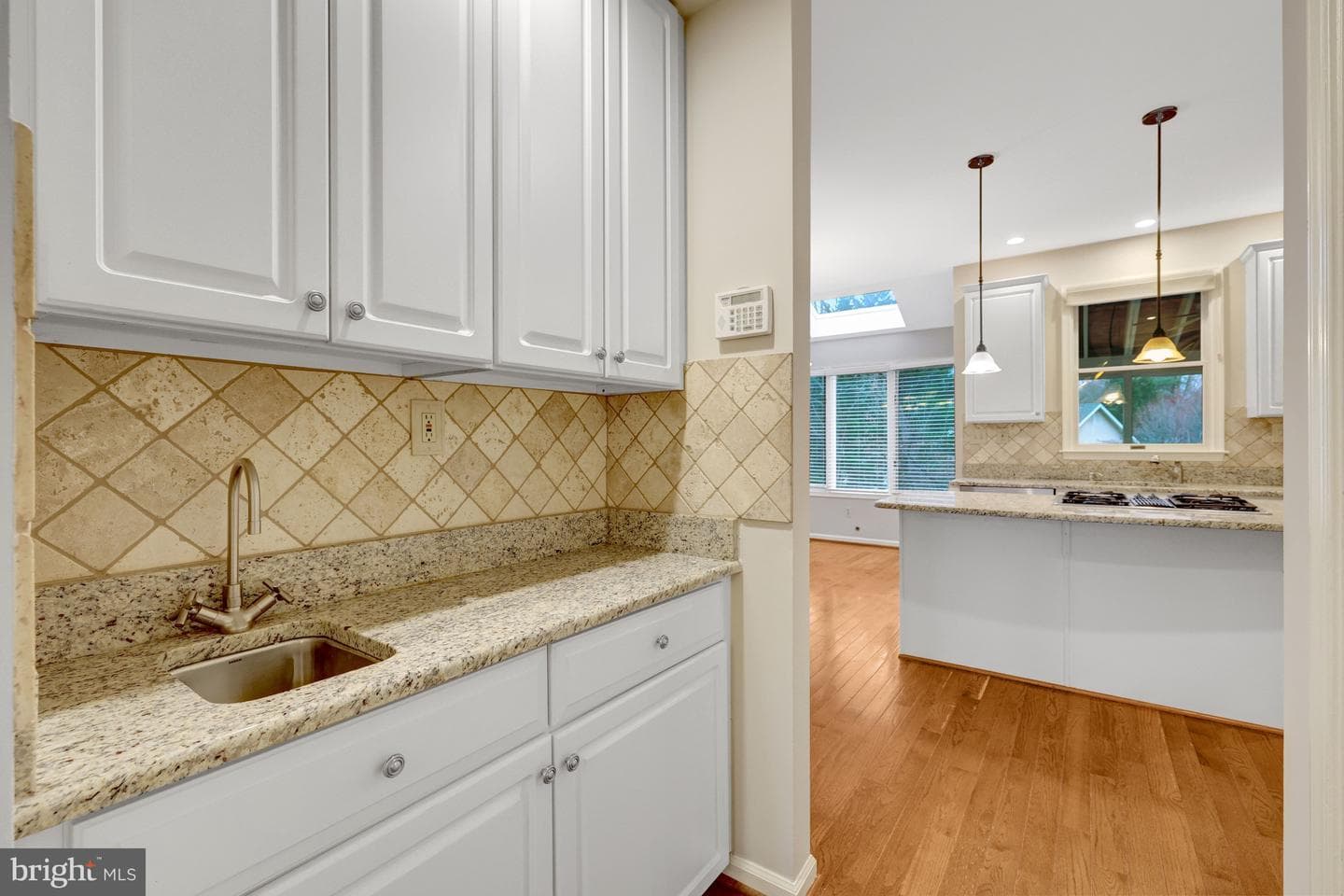 47203 Brasswood Place photo 14