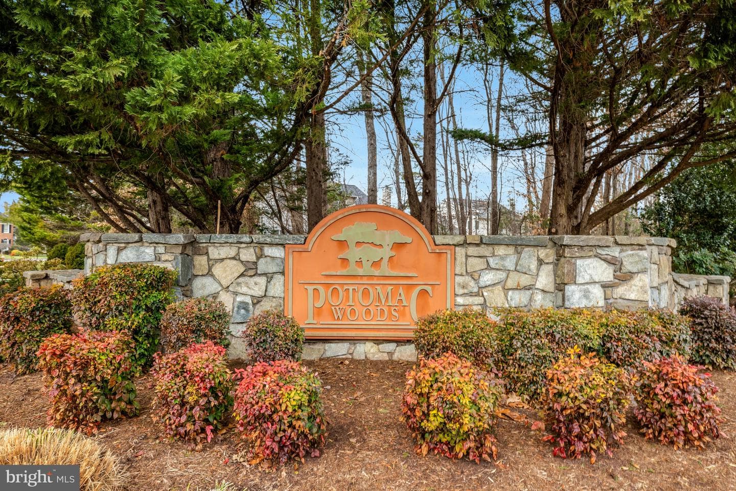 47203 Brasswood Place photo 2