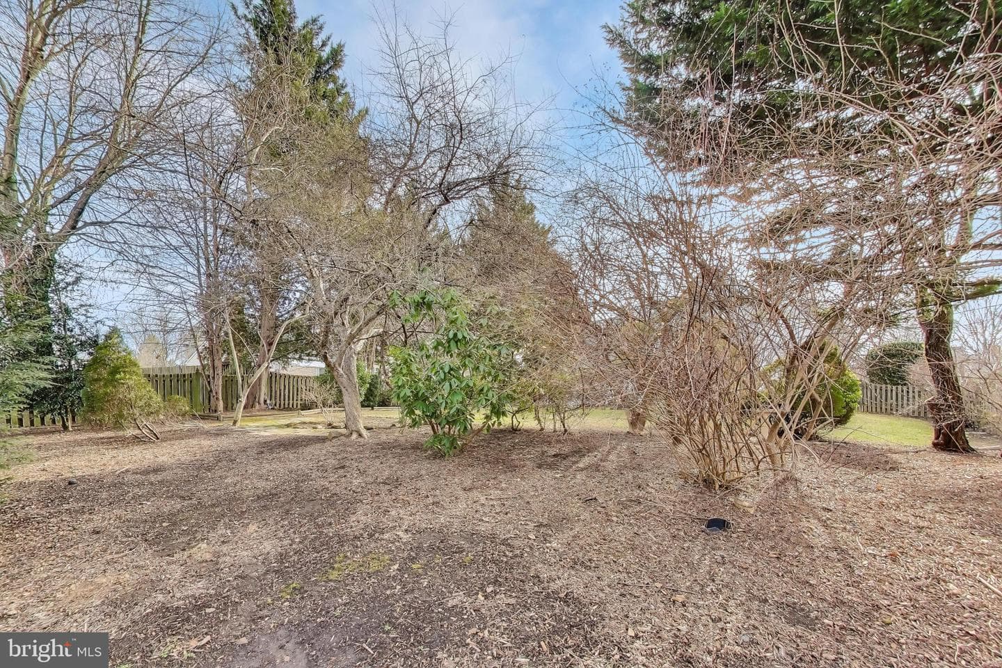 37836 Perkins Court photo 54