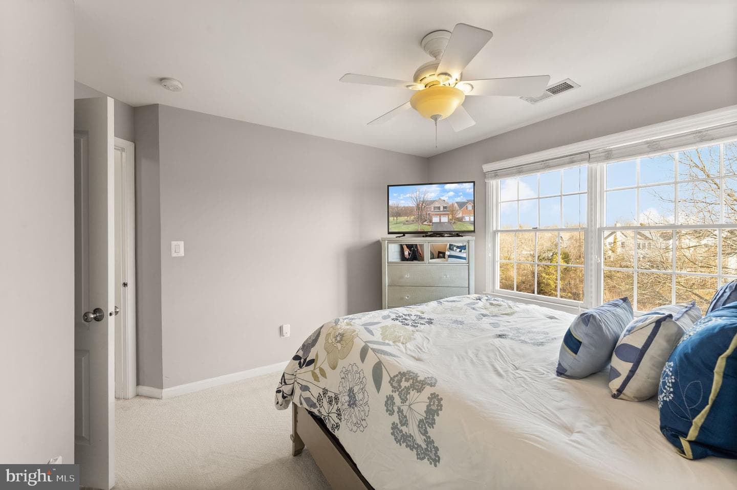 43387 La Belle Place photo 59