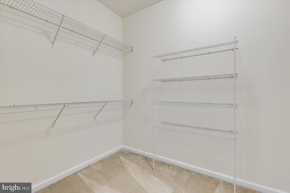 25294 Gray Poplar Terrace photo 23
