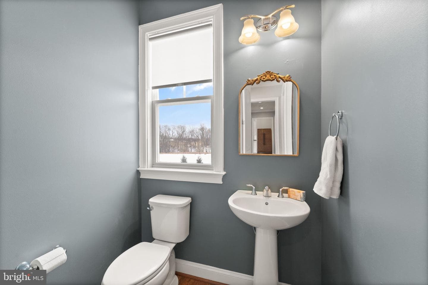 18895 Skyfield Ridge Place photo 39