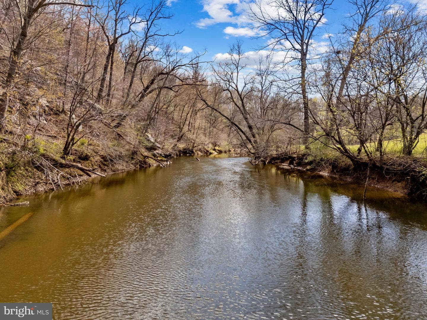 14039 Amys Meadow Court photo 116