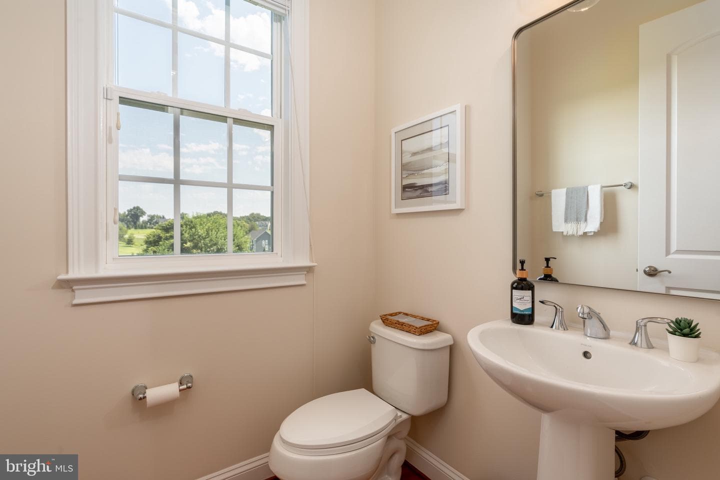 15731 Elsie Virginia Place photo 27