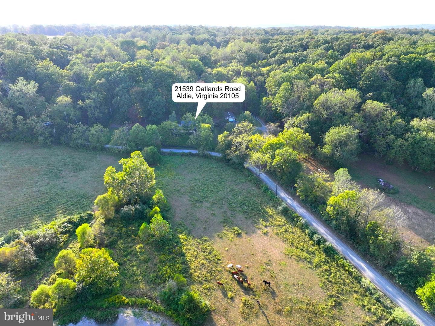 21539 Oatlands Road photo 105