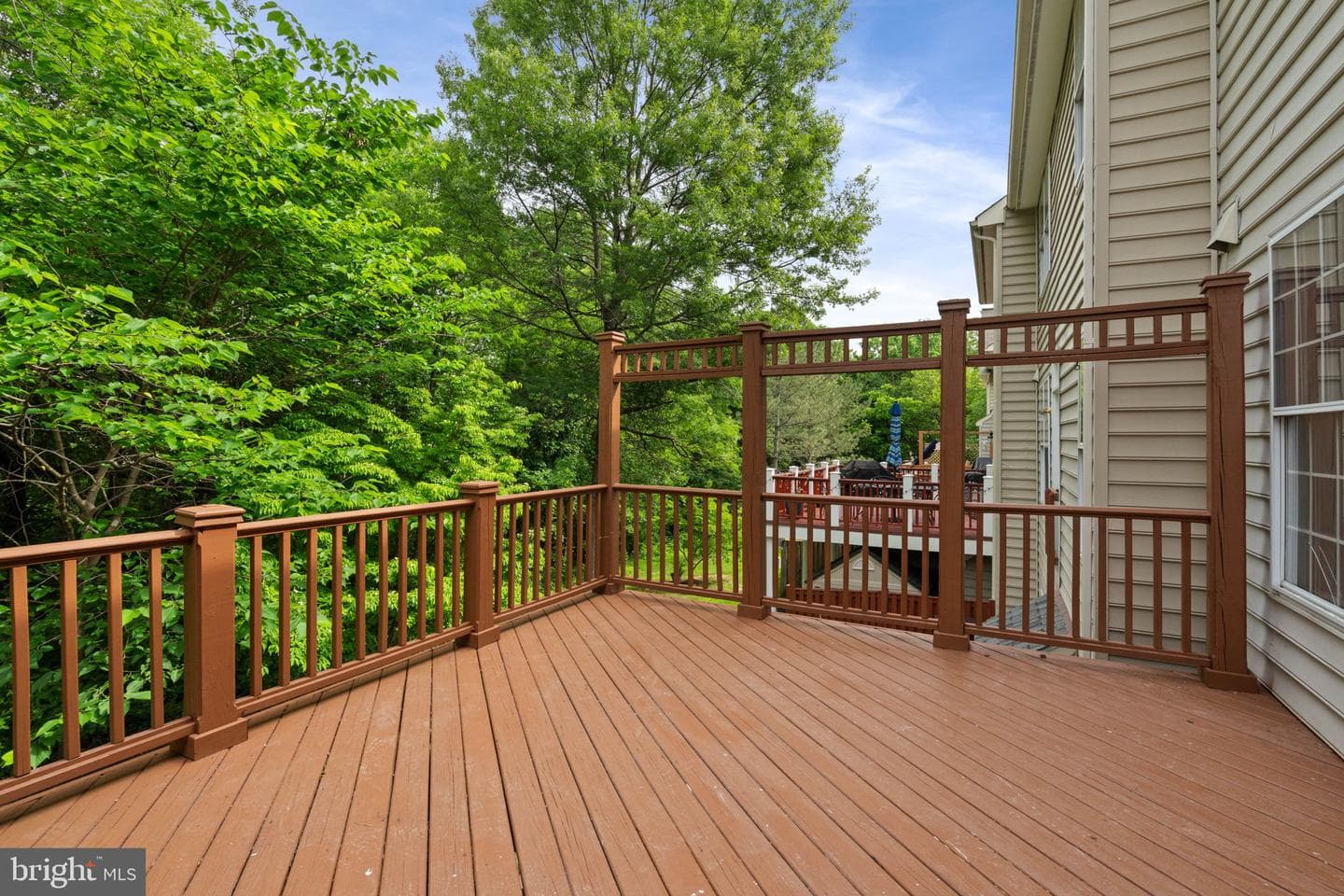 20877 Ivymount Terrace photo 29